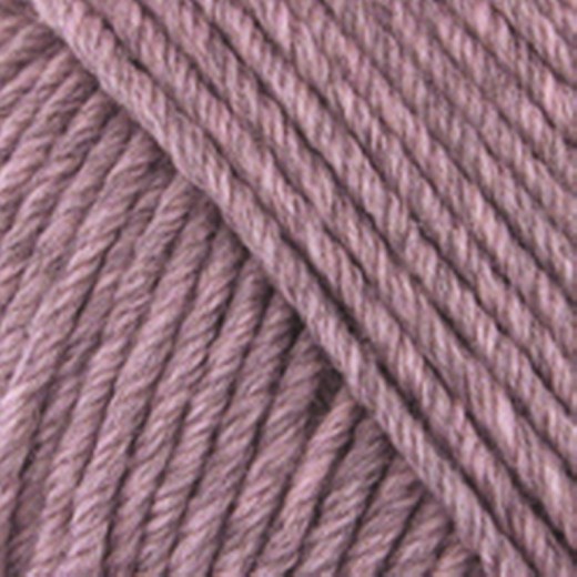 Semilla Grosso farve oa105