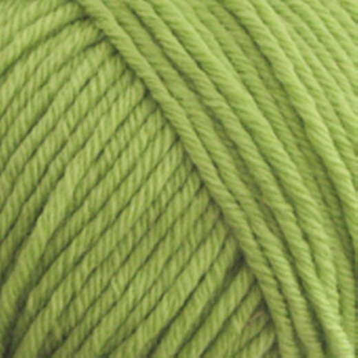 Semilla Grosso farve oa132